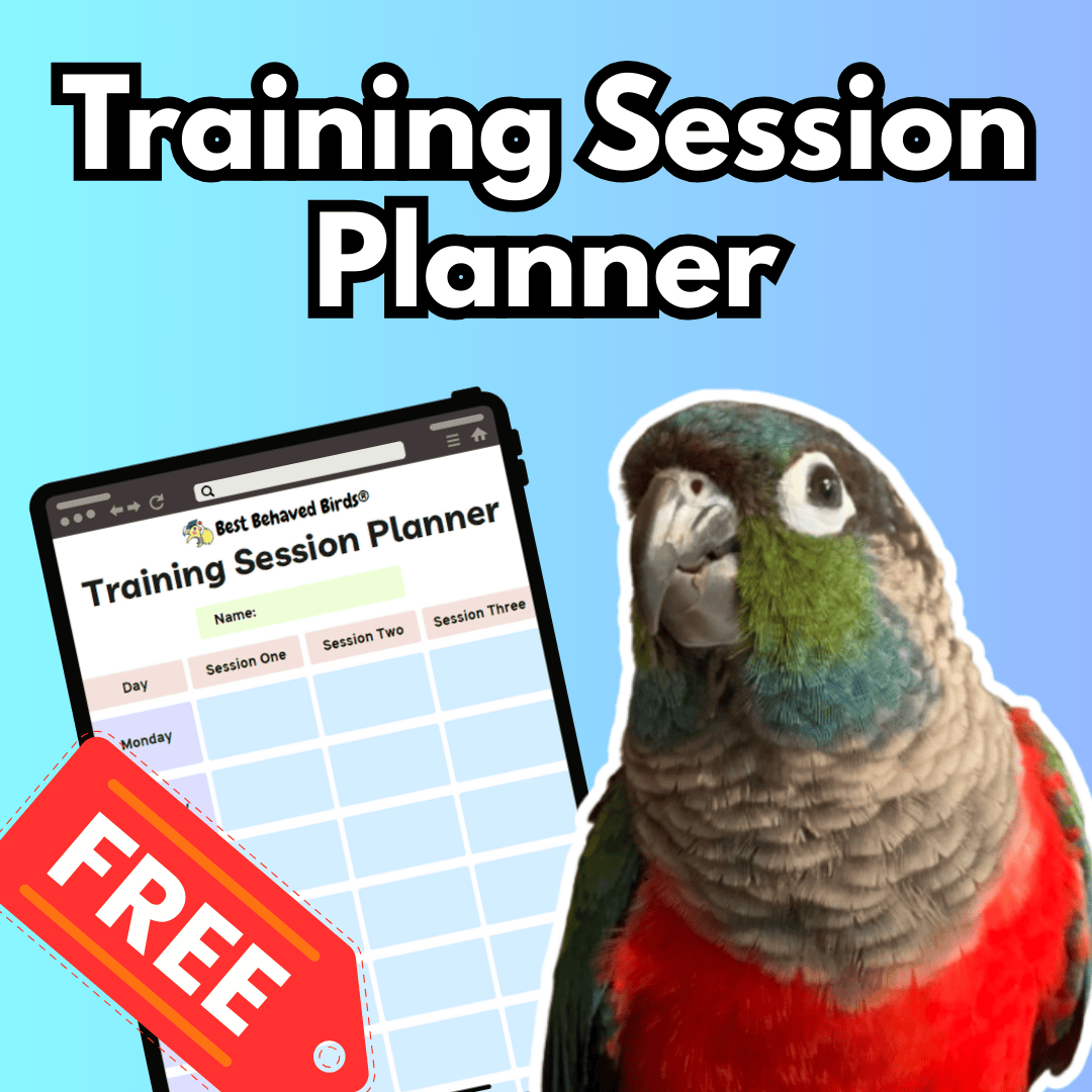 Courses and Freebies – Best Behaved Birds